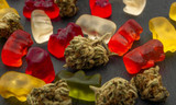 Where Can I Find Delta 8 Edibles Near Me?