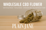 Exploring The Benefits of Wholesale CBD