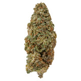 Durban Diesel Hemp Flower: Is Sativa Hemp for You?