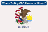 Where To Buy CBD Flower In Illinois?