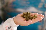 Common Pitfalls to Avoid When Sourcing Exotic CBD Flower in Bulk