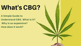 CBD vs CBG: The CBG Hemp Flower Difference?