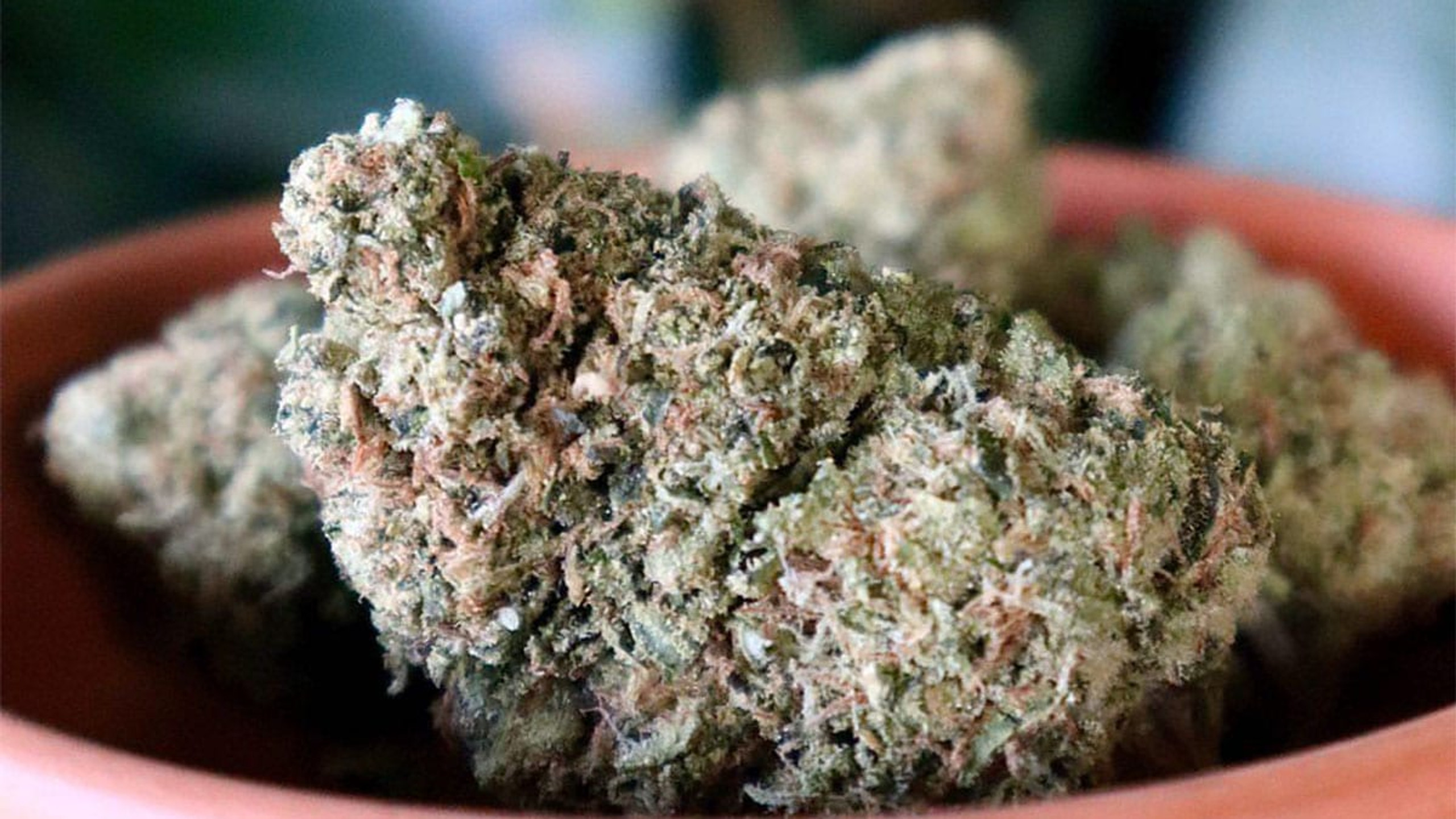 What is CBD Flower? Your Ultimate Guide PlainJane