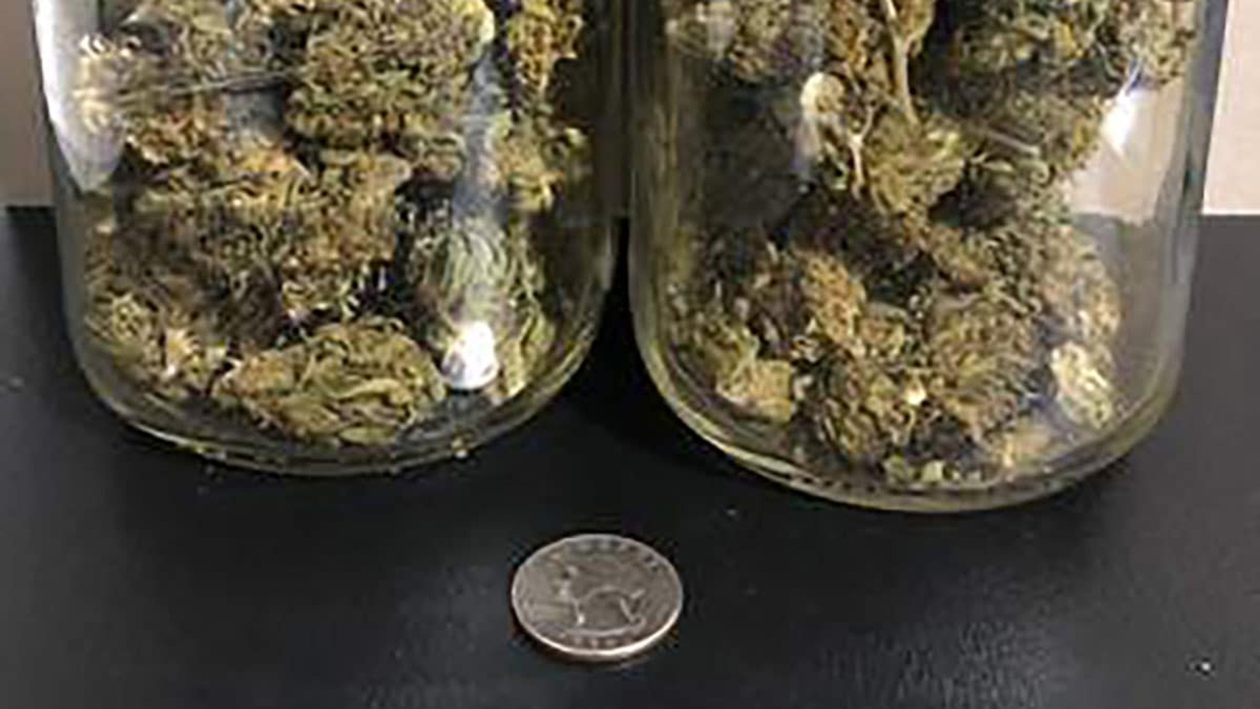 how-much-is-3-5-grams-of-weed-plainjane