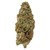 Plain Jane tightly manicured CBD Hemp Flower, Durban Diesel, grown indoor, mood: energized, promo: getjointfree