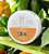 Mango Energized CBG Infused Dip Pacs with Caffeine on tropical shelf