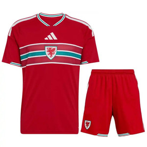 2026 Wales Home Kids Kit