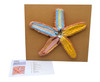 Anatomical Biology Model, 3D Star Fish, Three Dimensional, Sectional View with Hand Painted Details, Mounted on Base, 18" x 16"