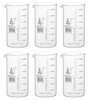 Beakers, 600 ml, Tall Form with Spout, White, 50 ml Graduations, Borosilicate Glass, case/6