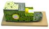 Eisco Labs Anatomical Model, Micro Structure of Dicot Leaf, 500x Life-Size, Shown in Cross and Longitudinal Sections, 18" Long 