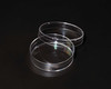 Treated Tissue Culture Dish, 60mm x 15mm Sterile, 20 per Resealable Bag, case/500
