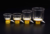Bottle Top Filter, 150 mL, PES Filter Material, 0.45um, 50mm, Sterile, Bagged, case/24