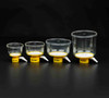 Bottle Top Filter, 500 mL, PES Filter Material, 0.22um, 90mm, Sterile, Bagged, case/24