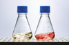 Nalgene® 4115-0125 Single-Use Lab Flasks, Sterile, Vented Closure, PETG, 125mL, case/24