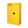 Securall® Flammable Storage Cabinet, 45 gal, Self-Closing 2-Door