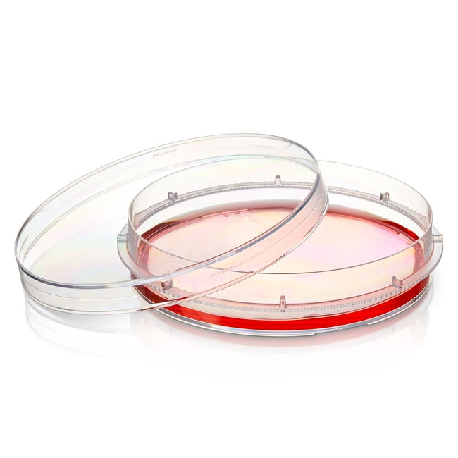 健康・医学 W.M Nalgene® 174902 Nunc Dishes with UpCell Surface, Non-Gridded, 100