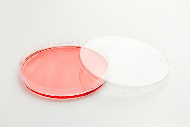 ピョンヤン メトロ Nalgene® 150466 Nunc EasYDish Cell Culture Dish, Polystyrene, 100