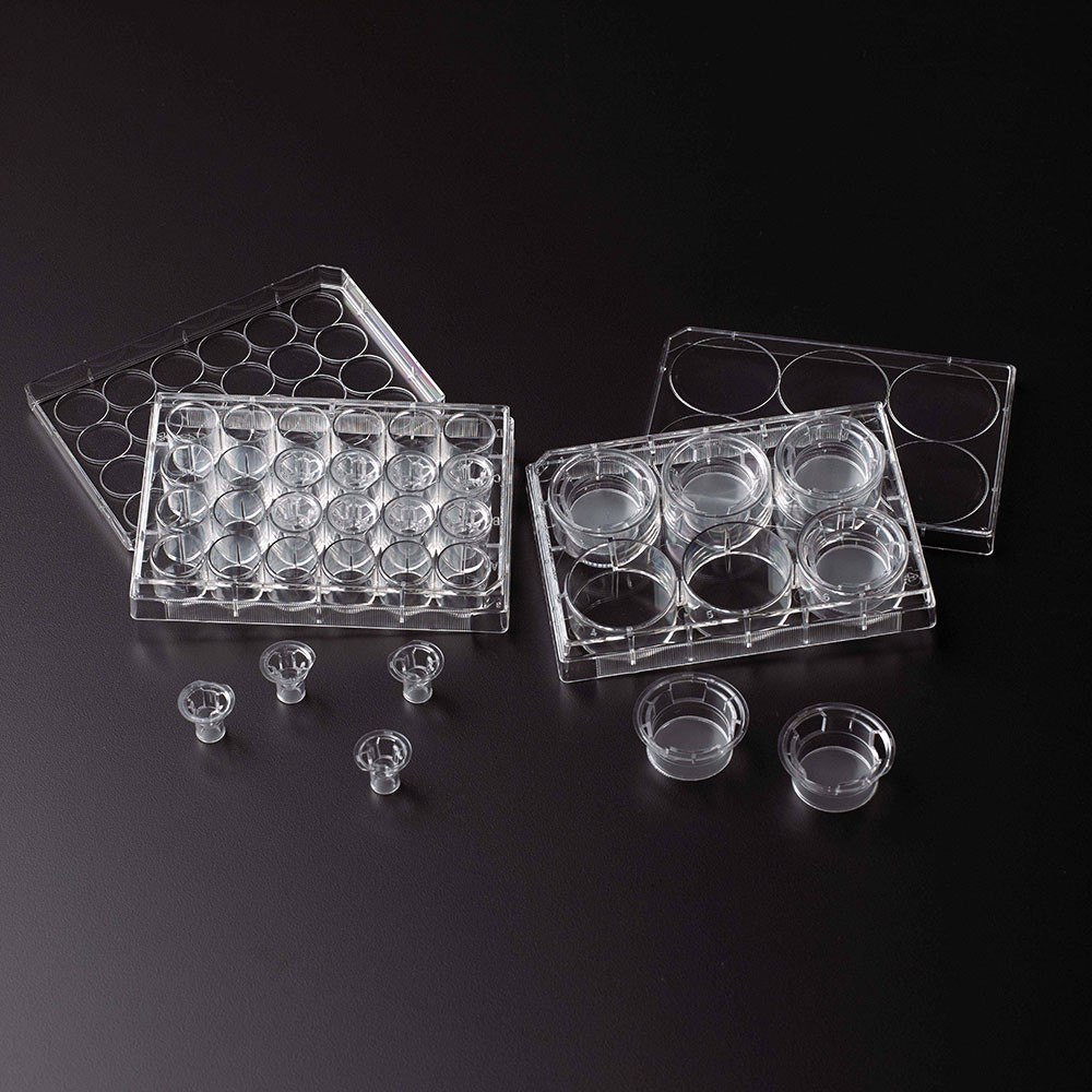 Permeable Cell Culture Inserts, in 24-Well Plate, Hanging, PET