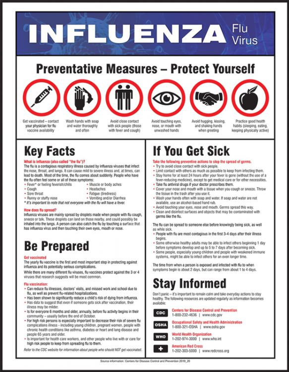 Safety Poster, Influenza Flu Virus, 22" x 17", Each