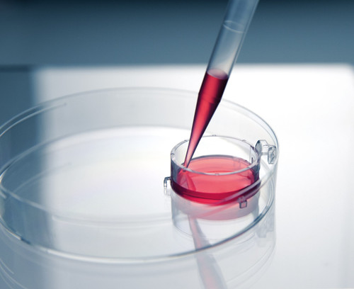 12-well Inserts, 2-in-1