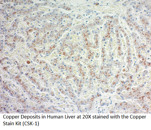 Copper Histology Stain Kit