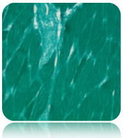 Fast Green Solution Histology Stain, 1000mL