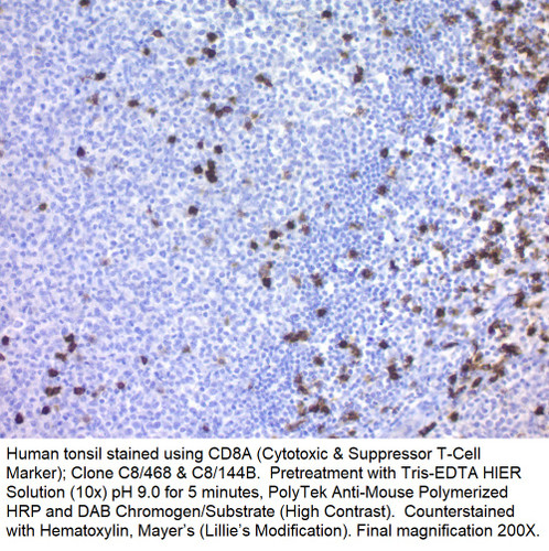 CD8A (Cytotoxic & Suppressor T-Cell Marker); Clone C8/468 & C8/144B (Concentrate), 0.5mL