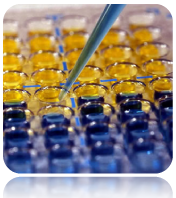 TMB Soluble Reagent (Standard Sensitivity), 1000mL