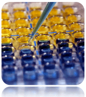 TMB Soluble Reagent (High Sensitivity), 500mL