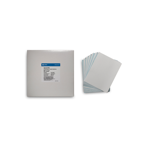 Cytiva Blotting Membrane Sheet, 11cm x 14cm, Nytran Supercharge (SPC), 0.45um Pore Size, 10 per pack