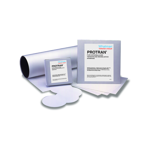 Cytiva Blotting Membranes, Protran Nitrocellulose, BA85 Circles, 25mm, 0.45ul Pore Size, pack/1000