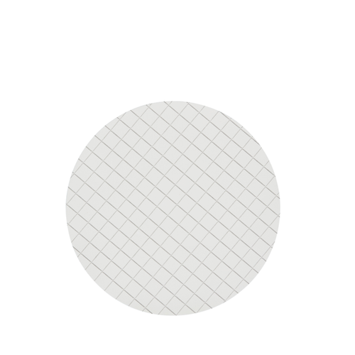 Cytiva Membrane Filtration, ME25 (Mixed Cellulose Ester), 50mm Diameter, 0.45um, White, 5.1mm/ Black Grid, Sterile For Whatman Membrane-Butler, pack/400