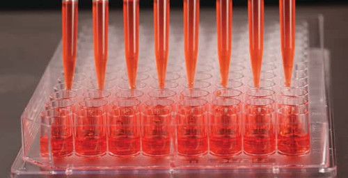 Nalgene® Edge 96-Well, lon Delta-Treated, Flat-Bottom Microplate with Lid, Clear, case/160