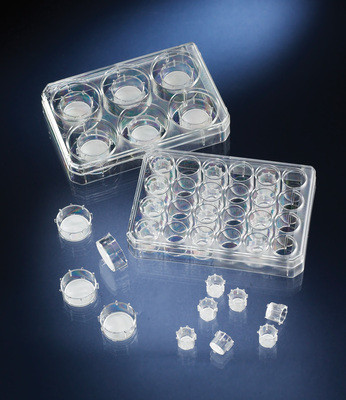 Nalgene® 140644 Nunc Cell Culture Inserts in Multidish 6, Polycarbonate, 8 um, case/24