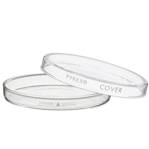 Dish, Petri, 100 x 10mm, Complete, pack/12