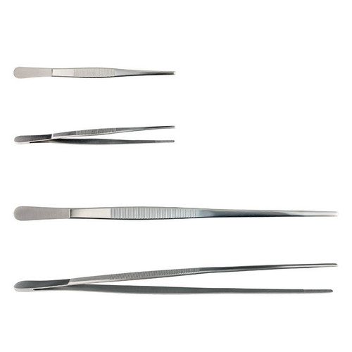 Stainless Steel Forceps/Tweezers, Specimen, Straight, 6", Serrated Tip, each