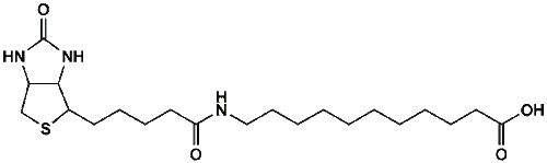 High Purity PEG Reagent, (+)-Biotin-SLC, 95% Min Purity, 1 gram