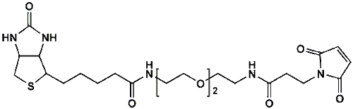 High Purity PEG Reagent, (+)-Biotin-PEG2-Maleimide, 95% Min Purity, 250 mg