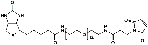 High Purity PEG Reagent, (+)-Biotin-PEG12-NH-Mal, 97% Min Purity, 50 mg