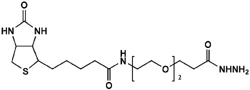 High Purity PEG Reagent, (+)-Biotin-PEG2-Hydrazide, 95% Min Purity, 250 mg