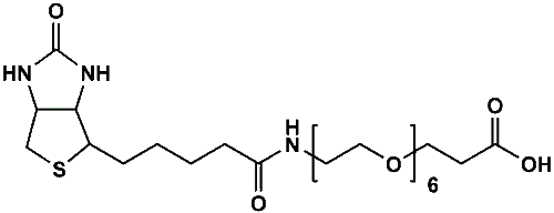 High Purity PEG Reagent, (+)-Biotin-PEG6-CH2CH2COOH, 95% Min Purity, 250 mg High Purity PEG Reagent, (+)-Biotin-PEG6-CH2CH2COOH, 95% Min Purity, 250 mg