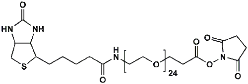 High Purity PEG Reagent, (+)-Biotin-PEG24-NHS Ester, 95% Min Purity, 50 mg