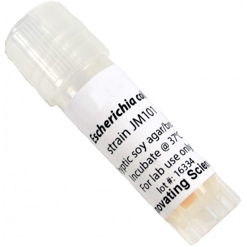 Microbiology Science Education Kit, E. Coli Jm101 Freeze Dried Culture with O Transfer Media