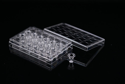 12 Cell Culture Inserts+24 Well Plate, 0.4um, PET Membrane, Opaque, TC, Sterile, 12 per pack, 48 per case