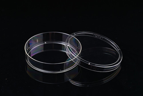 100mm Cell Culture Dish, TC, sterile 20/bag, 300 per case