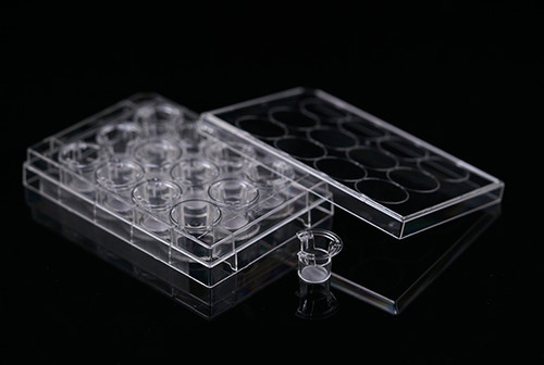 12 Cell Culture Inserts+12 Well Plate, 3.0um, Polycarbonate Membrane, Translucent, Non-Treated, Sterile, 12 per pack, 48 per case