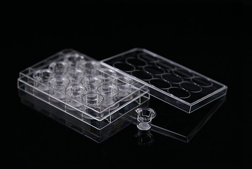 12 Cell Culture Inserts+12 Well Plate, 3.0um, PET Membrane, Translucent, TC, Sterile, 12 per pack, 48 per case