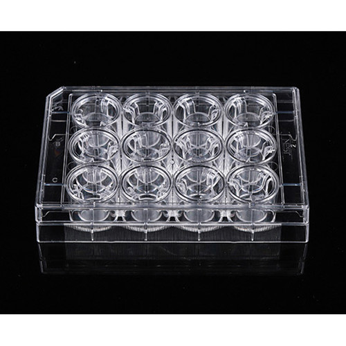 12 Cell Culture Inserts+24-Well Plate, 8.0um, PET Membrane, Transparent, TC, Sterile, 12 per pack, 48 per case
