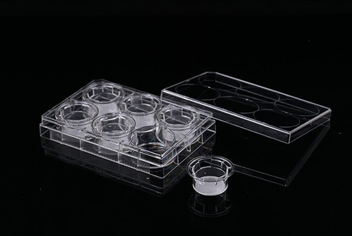 6 Cell Culture Inserts+6 Well Plate, 0.4um, PET Membrane, Opaque, Non-Treated, Sterile, 6 per pack, 24 per case