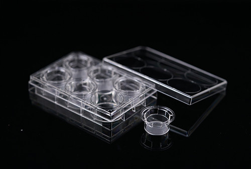 6 Cell Culture Inserts+6 Well Plate, 8.0um, Polycarbonate Membrane, Translucent, TC, Sterile, 6 per pack, 24 per case
